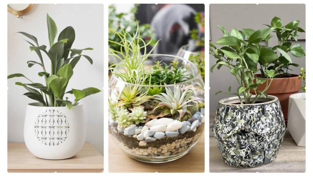 15 Plant Lover Gift Guide for Your Green-Thumbed Friends