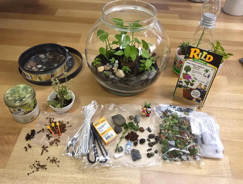 DIY Terrarium Kit