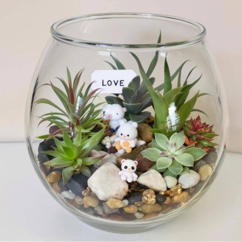 DIY Terrarium