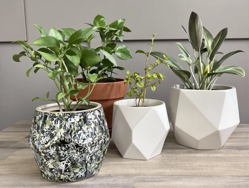 Decorative Plant Pots with Drainage