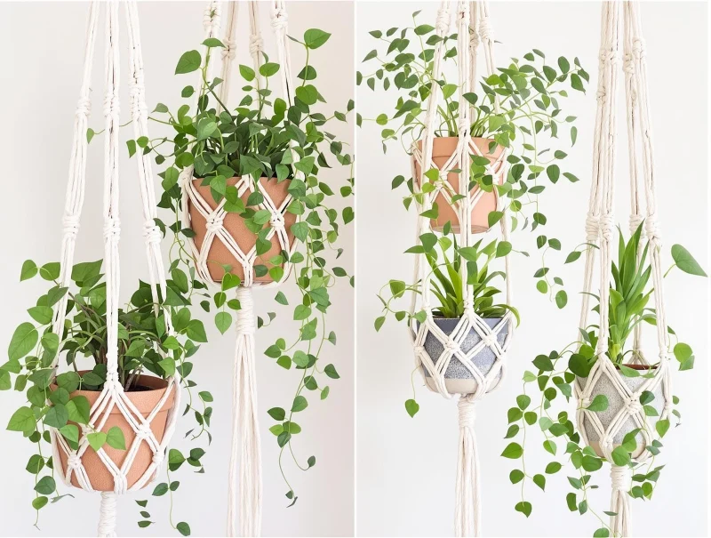 Macramé Plant Hangers