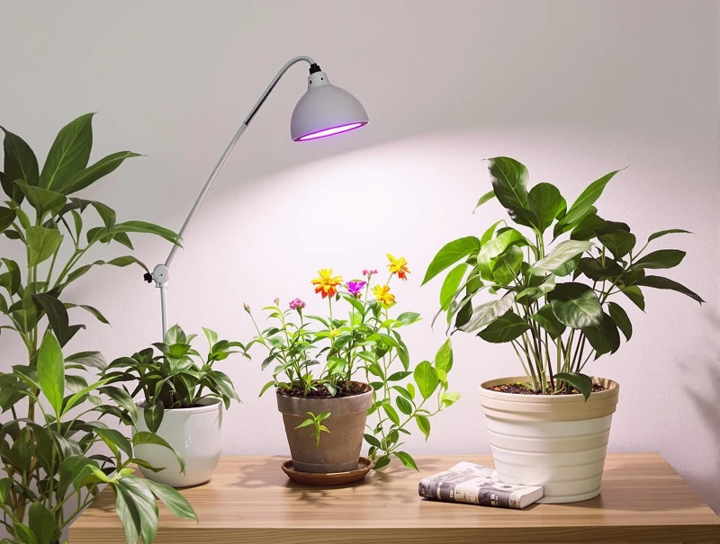 Plant Growth Light