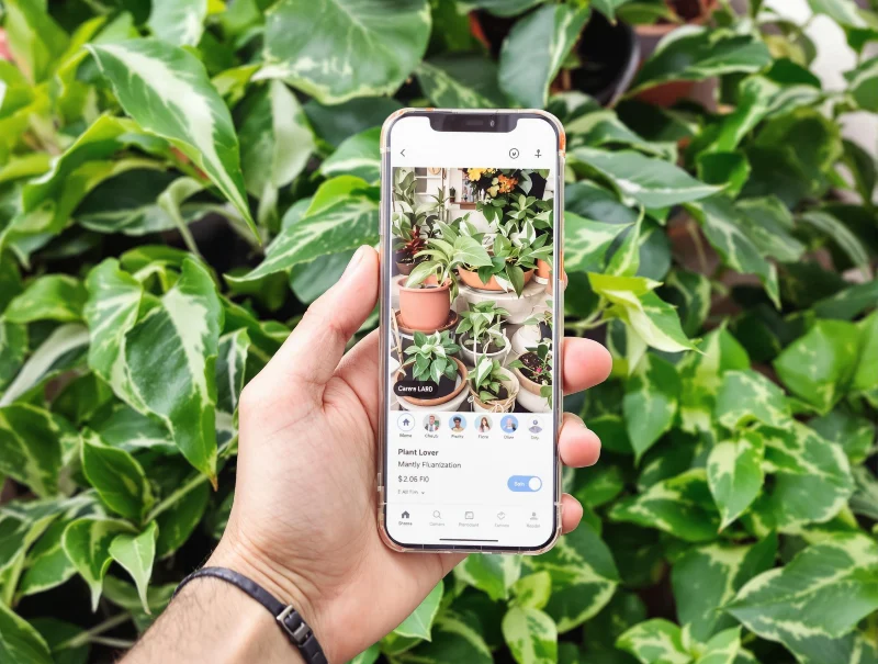 Plant Identification App Subscription