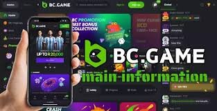 Discover BC.Game UAE Casino The Ultimate Gaming Experience