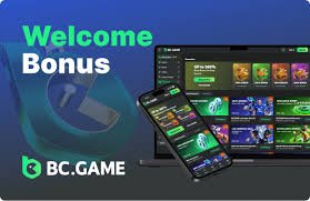 Explore the Thriving World of BC.Game Online Platform