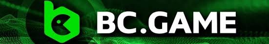 Exploring BC.Game India Your Ultimate Online Casino Experience