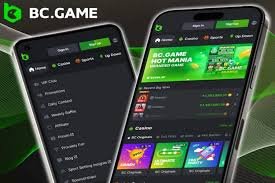 Hash.Game El Futuro del Casino en Crypto