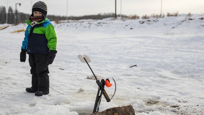 Overview of ice fishing live game