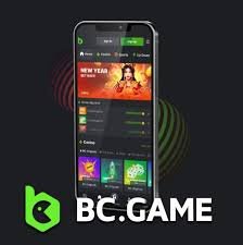 Understanding BC Game Verification KYC A Comprehensive Guide Understanding BC Game Verification KYC A Comprehensive Guide
